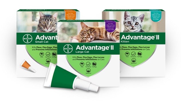 Advantage ii store for cats uk