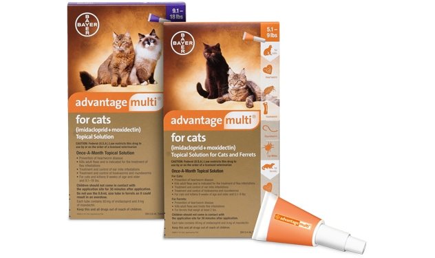 Advantage Multi Cat