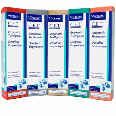 CET Enzymatic Toothpaste