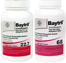 Baytril Taste Tabs