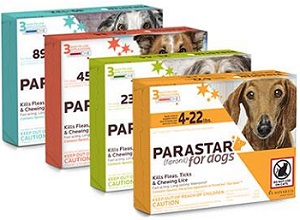 Parastar Dog